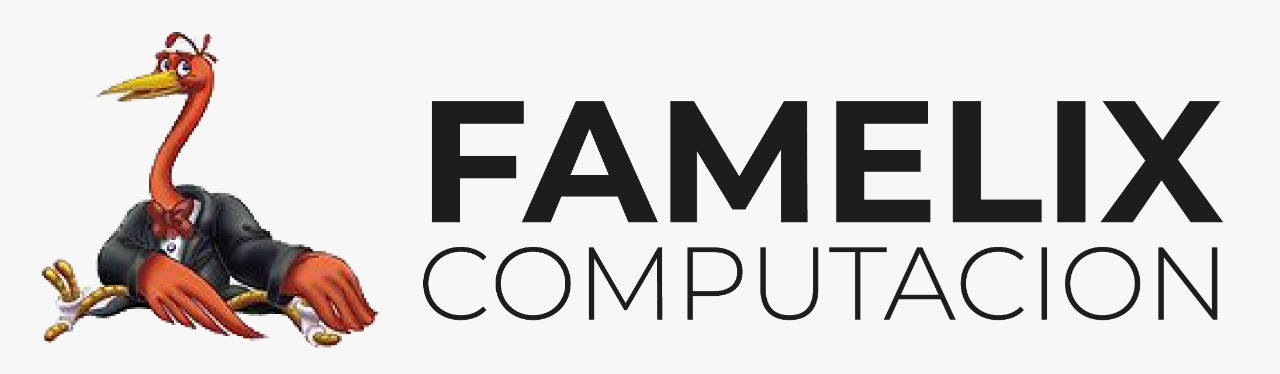 Famelix Computacion